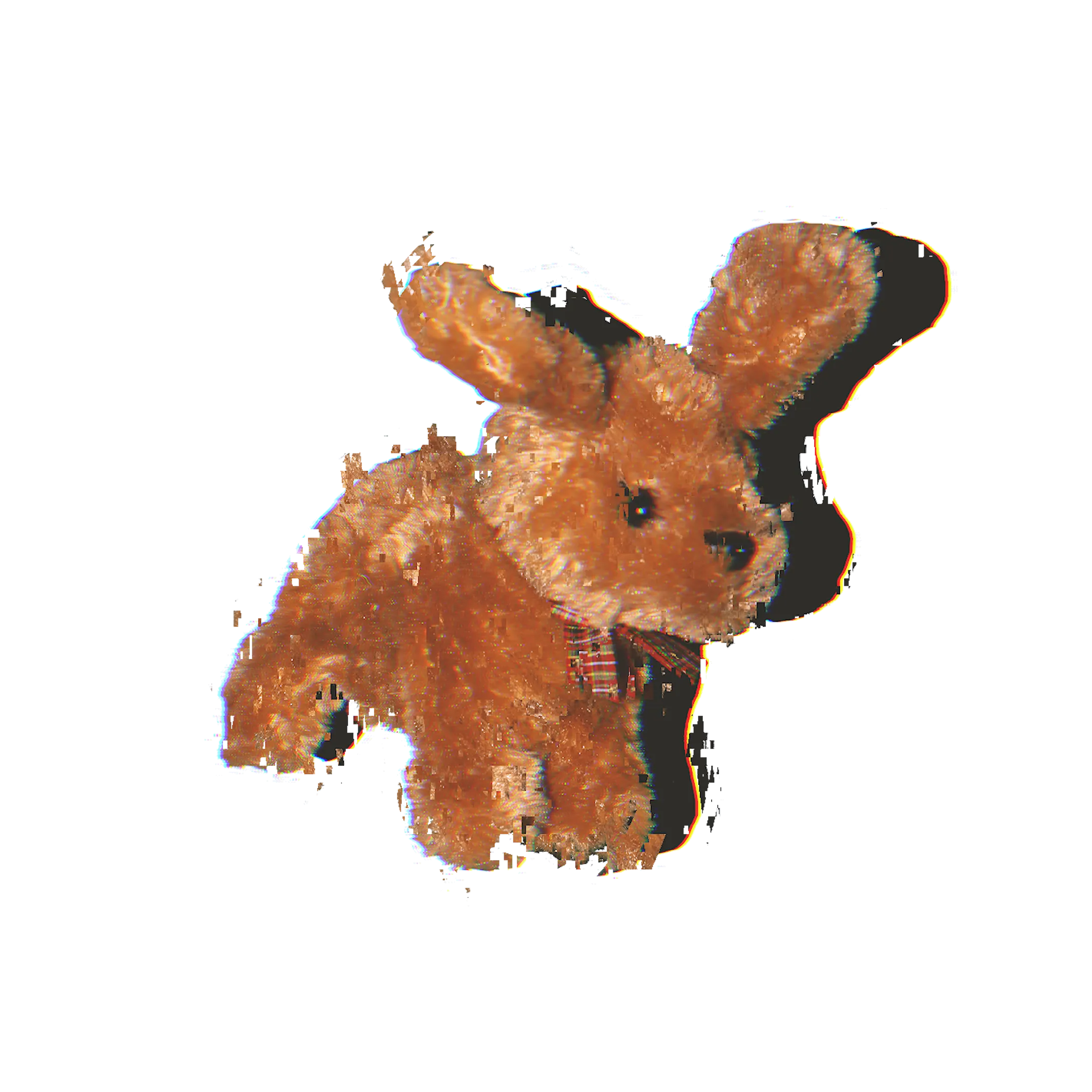 おみくじを引く